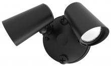 American Lighting FL2S-3CCT-BK - FORA SECURITY DUAL HEAD